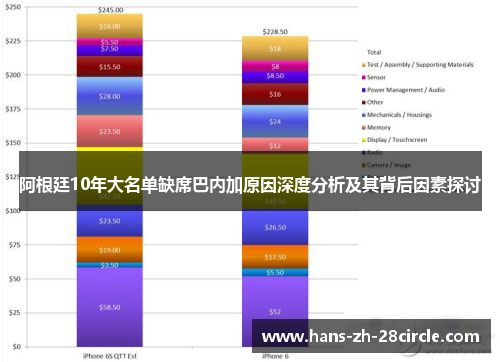 阿根廷10年大名单缺席巴内加原因深度分析及其背后因素探讨 阿根廷10年大名单缺席巴内加原因深度分析及其背后因素探讨